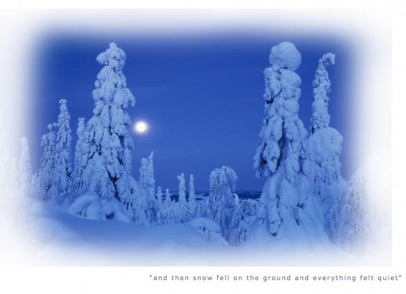 Finnish Winter Wonderland